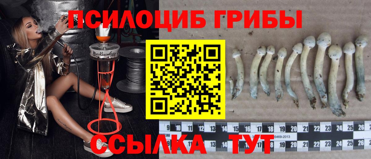 Псилоцибиновые грибы ЛСД Анапа