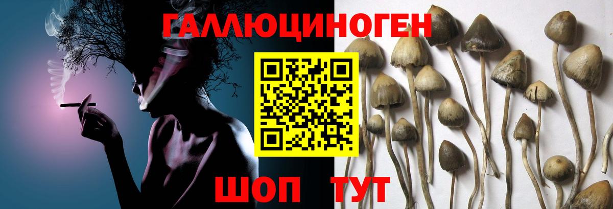 Галлюциногенные грибы ЛСД  Вход с VPN  Анапа 